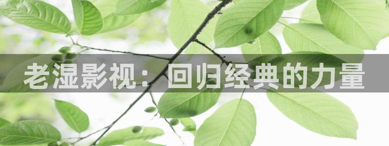 木瓜影院福利