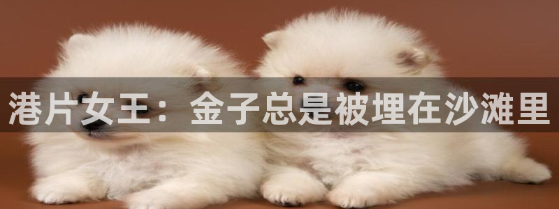 木瓜电影网在线观看