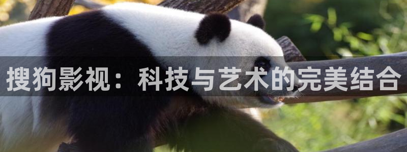 木瓜电影网网址