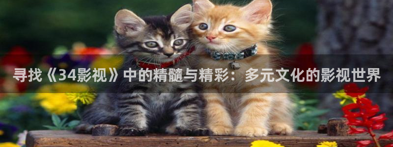 木瓜影剧院