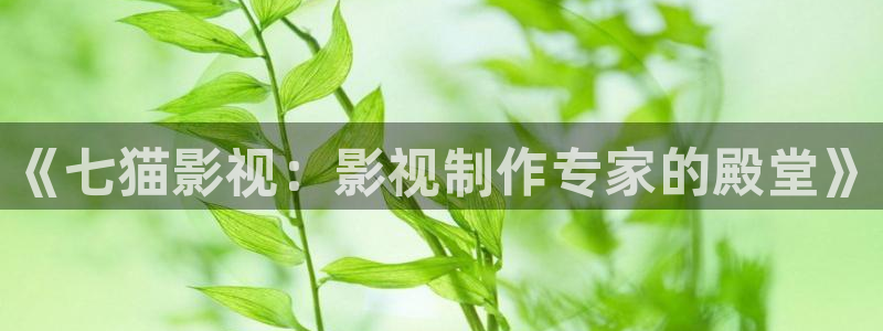 木瓜电影网站在线观看