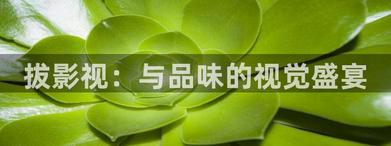 木瓜好看的电影