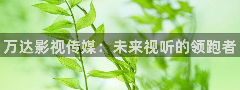 木瓜影院伦理