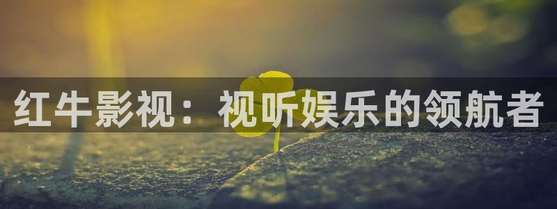 木瓜电影在线免费观看